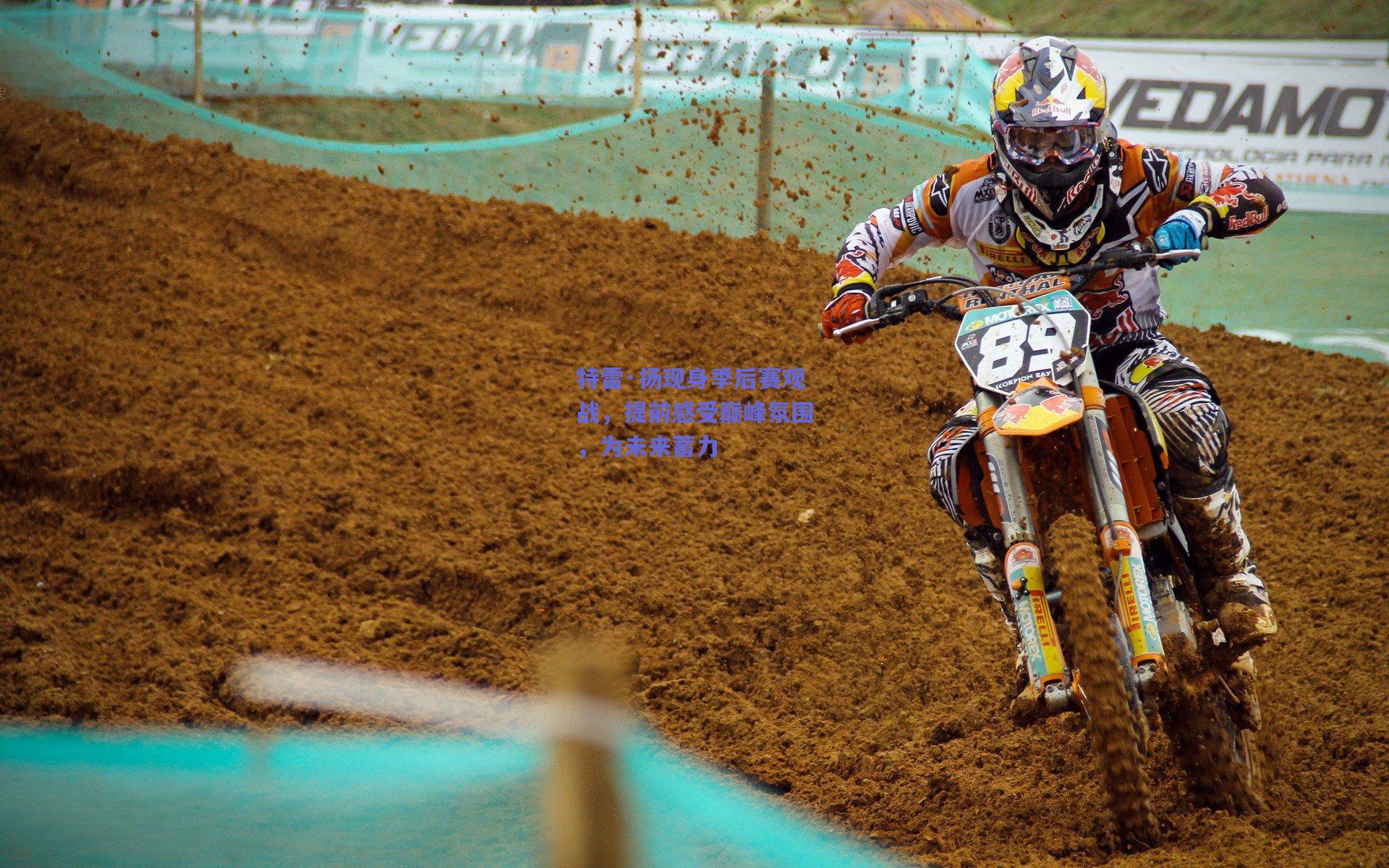 特雷·扬现身季后赛观战,提前感受巅峰氛围,为未来蓄力